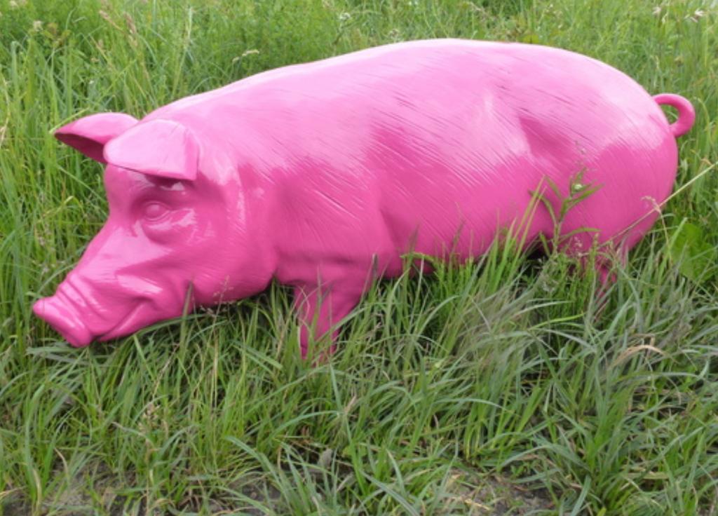 Varken-bruiloft-enveloppen varken-jubileum varken life size, Enlèvement ou Envoi, Autres types