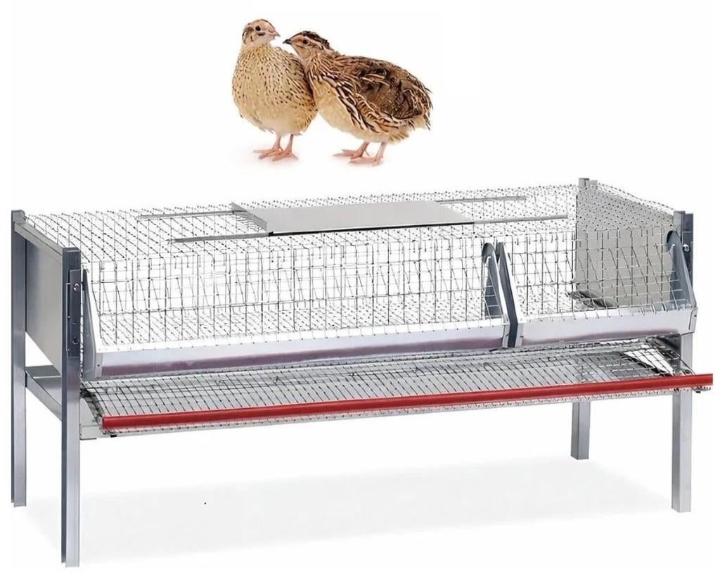 Kwartelkooien legkooi kwartels