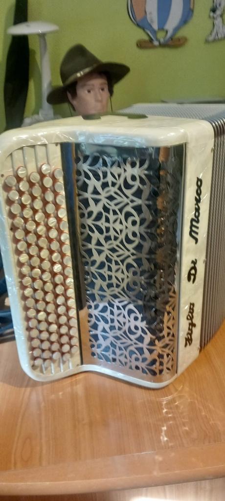 Accordéon, Comme neuf, Accordiola, Enlèvement, Avec bretelles