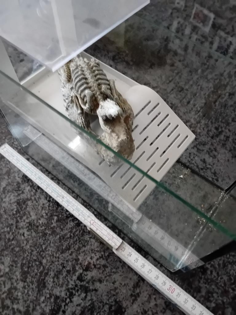 aquarium, Dieren en Toebehoren, Ophalen