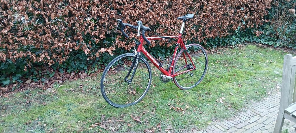 Koga miyata gentslux 58 koersfiets, Fietsen en Brommers, Ophalen, 28 inch, Gebruikt, Heren