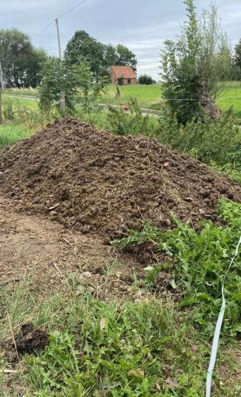 GRATIS  pure paardenmest, Tuin en Terras, Aarde en Mest, Mest, Ophalen