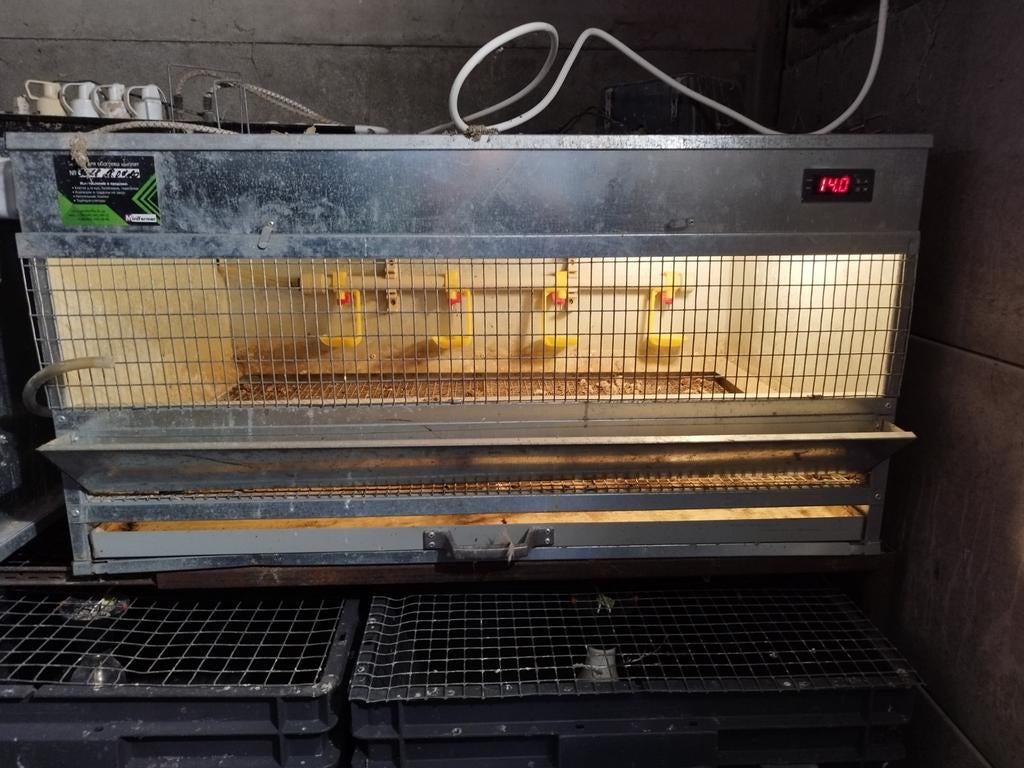 Opfokbakken kuikens, Dieren en Toebehoren, Ophalen