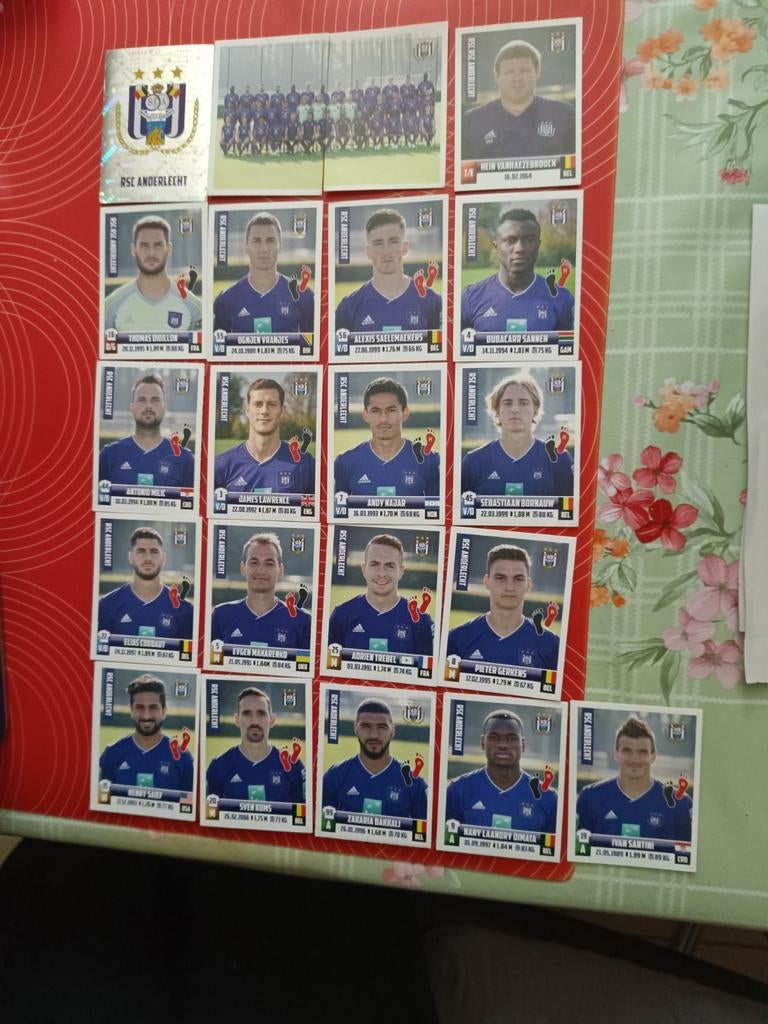 Volledige ploeg Anderlecht 2018/19 Pro LEAGUE, Enlèvement ou Envoi