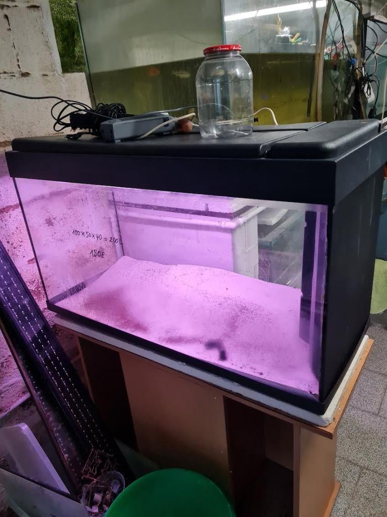 aquarium avec accessoires, Enlèvement