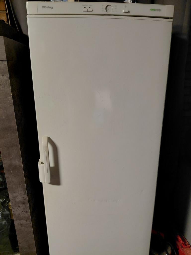 Congelateur blanc grd capacité 220v /  Eu, Enlèvement, Comme neuf