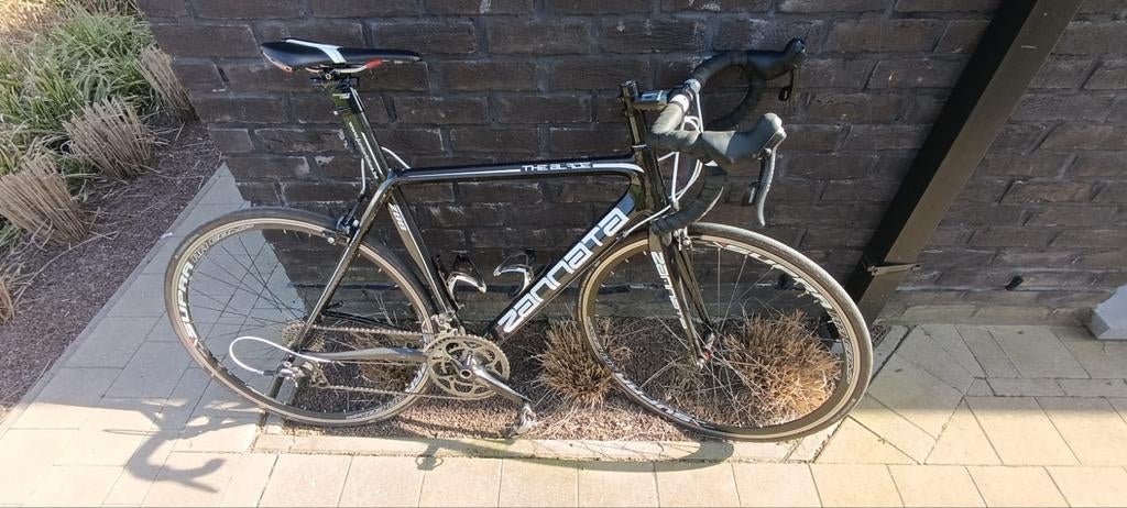 Carbon zannata Z88, Vélos & Vélomoteurs, Vélos | Vélos de course, Carbone, Enlèvement