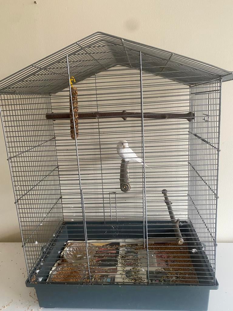 Vogel + kooi, Ophalen, Zo goed als nieuw