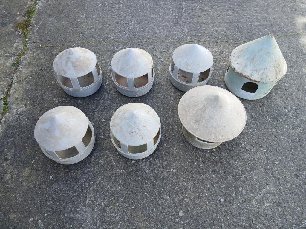 Duiven matriaal, Dieren en Toebehoren, Ophalen, Gebruikt, Drinken en Voederen