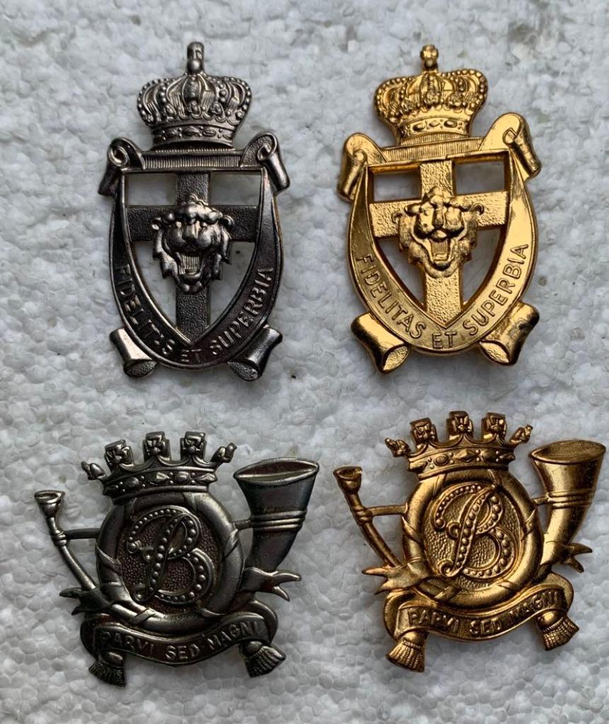 Kenteken, Bat Bevrijding + Carabiniers mutskentk, Zilvr+Goud, Enlèvement ou Envoi, Armée de terre, Emblème ou Badge