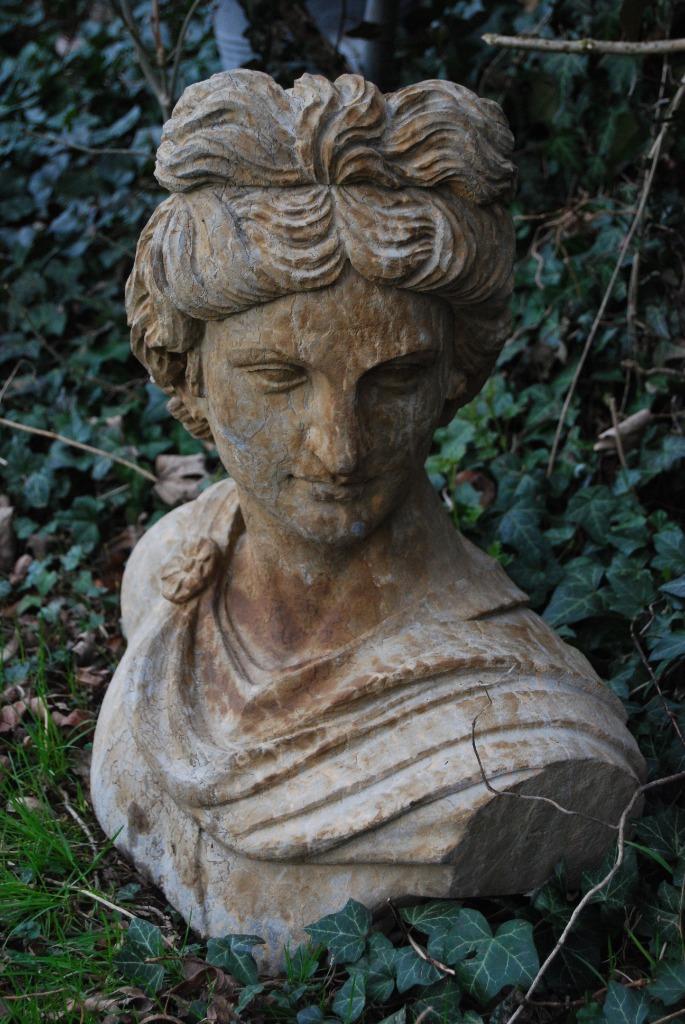 Superbe buste d'Apollon en pierre bleue, Enlèvement, Utilisé