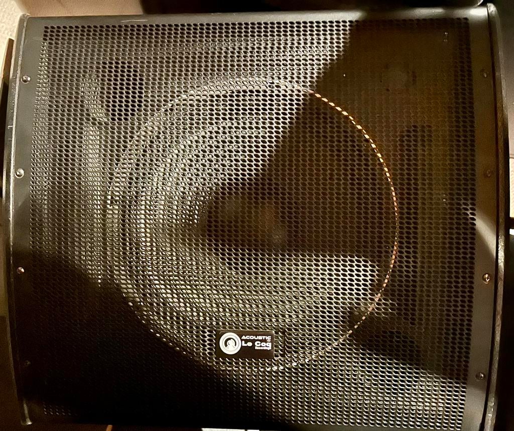 Floormonitor 12 “ 350 watt  gepowerd  nieuwe speaker Le cis, Muziek en Instrumenten, Ophalen, Zo goed als nieuw
