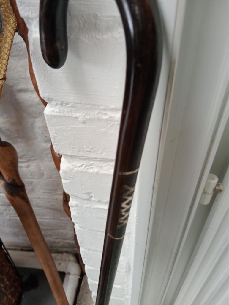 Eeuwenoud riet van ebbenhout en zilver, Ophalen of Verzenden