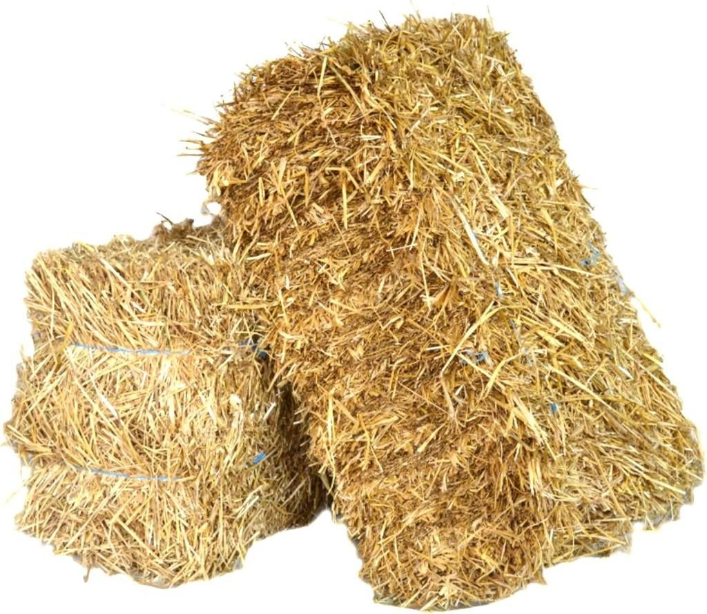 kleine botten stro te koop, Dieren en Toebehoren, Augustus