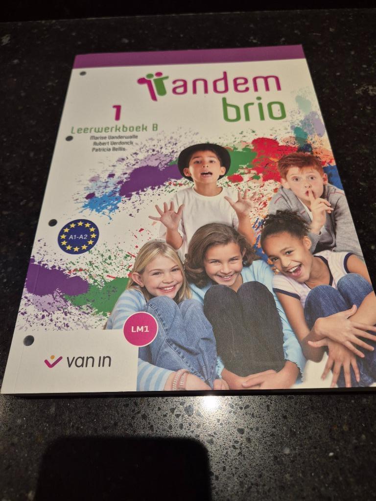 Livre scolaire néerlandais Tandem Brio 1, Livres, Livres scolaires, Envoi, Neuf, Secondaire, Néerlandais