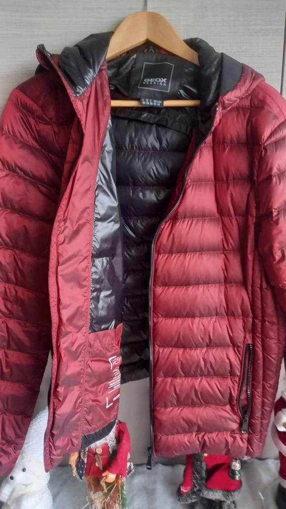 Anorak DUVET GEOX RESPIRA T.50, Vêtements | Hommes, Enlèvement ou Envoi, Comme neuf, Autres couleurs