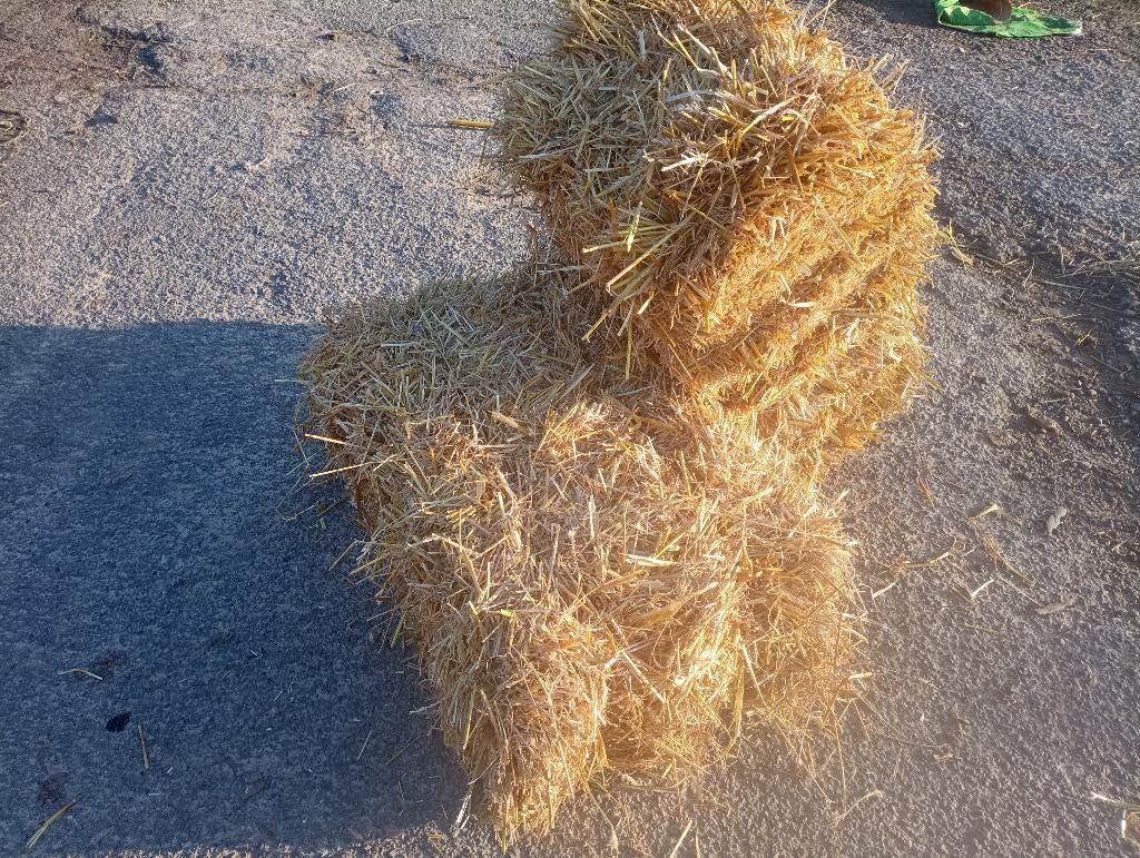 Petites balles de paille, Enlèvement