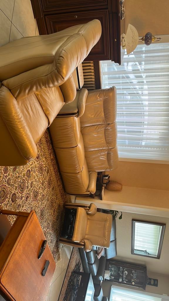 Fauteuil sofa salon, Enlèvement, Utilisé, Cuir