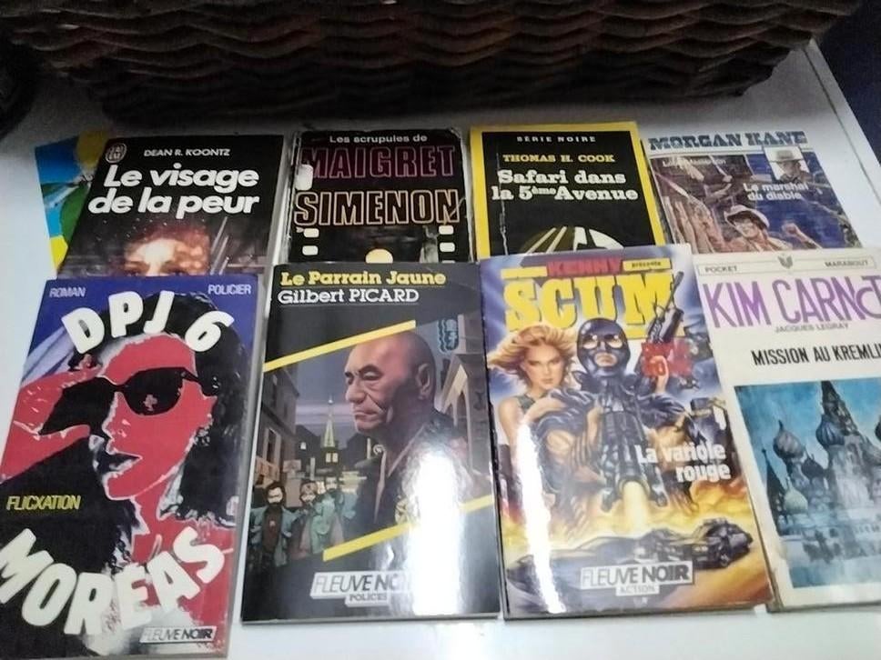 Aventures :policier, fleuve noir, série noire, horreur, Enlèvement ou Envoi, Comme neuf