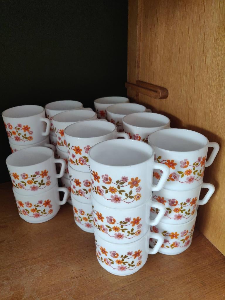 Lot Arcopal Scania (lot 2), Huis en Inrichting, Keuken | Servies, Gebruikt, Kop(pen) en/of Schotel(s), Ophalen