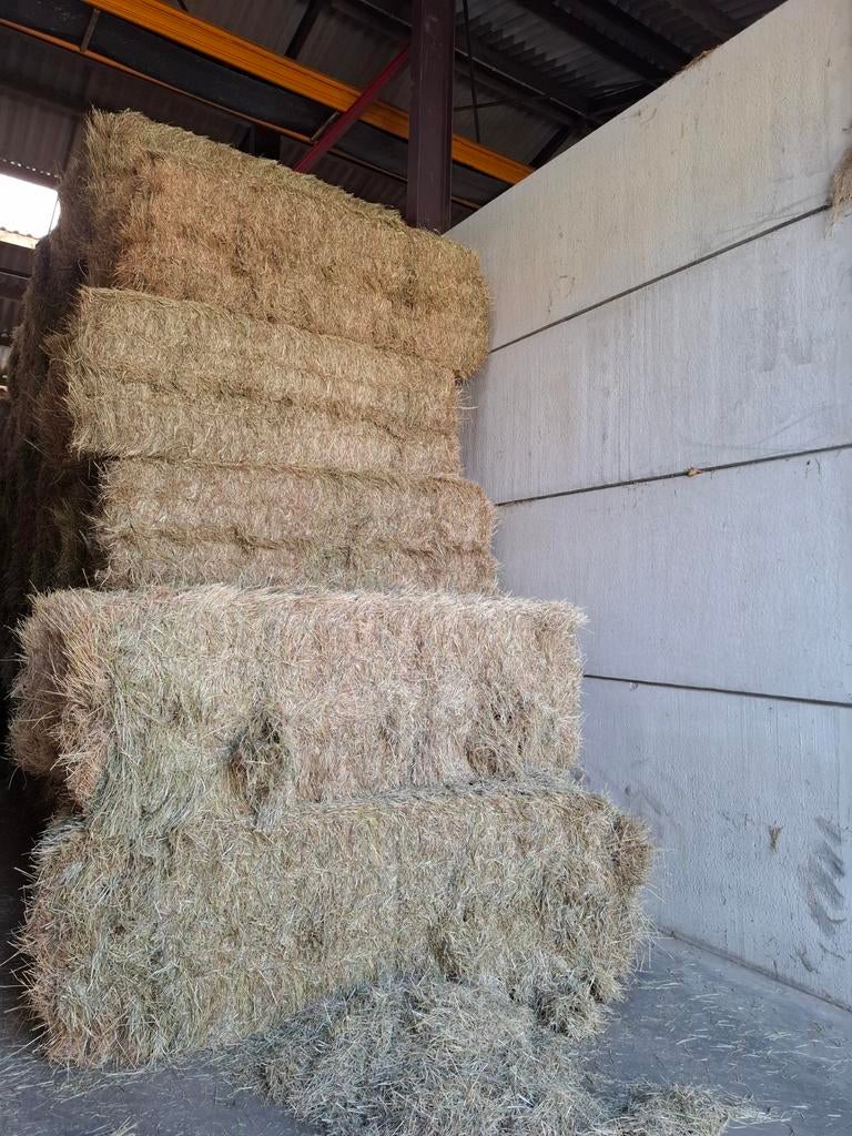 Hooi, Dieren en Toebehoren, Ophalen of Verzenden