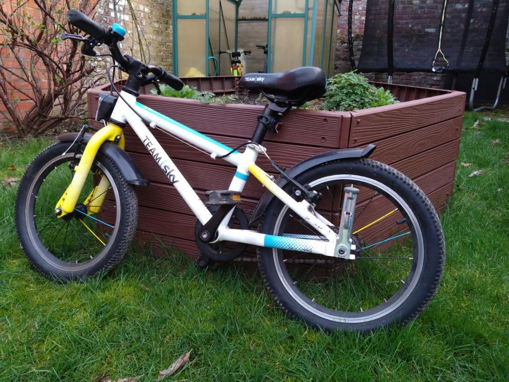 Velo pour enfant  - Frog 48 (16''), Vélos & Vélomoteurs, Enlèvement, Utilisé, Aluminium, Frog