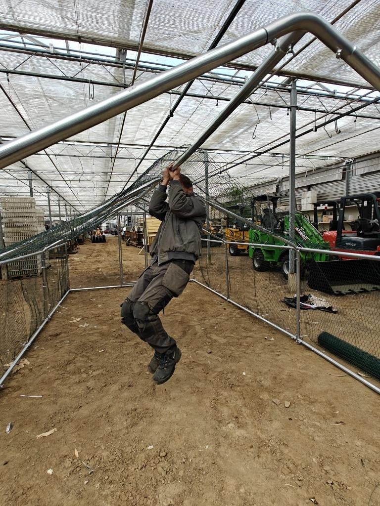 KIPPENREN NIEUW MARTERBESTENDIG, Ophalen