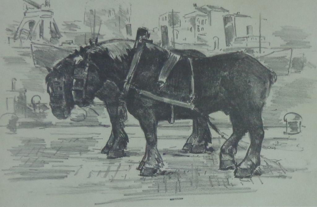 JULIEN CREYTENS / WERKPAARDEN / ZW-W LITHO / 50x60cm / KADER, Ophalen of Verzenden