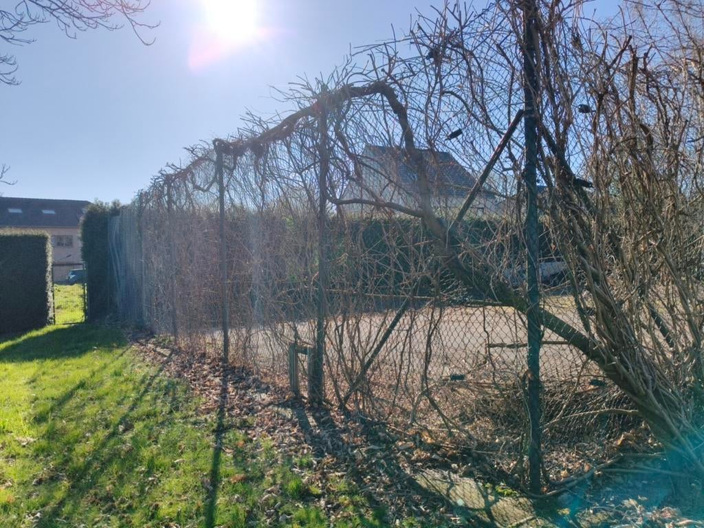 Gratis stevige omheining – zelf demonteren, Ophalen