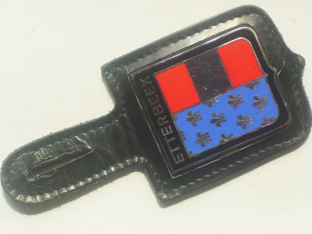 Breloque pucelle pectorale police obsolète Polcom Etterbeek, Collections, Envoi, Gendarmerie, Emblème ou Badge