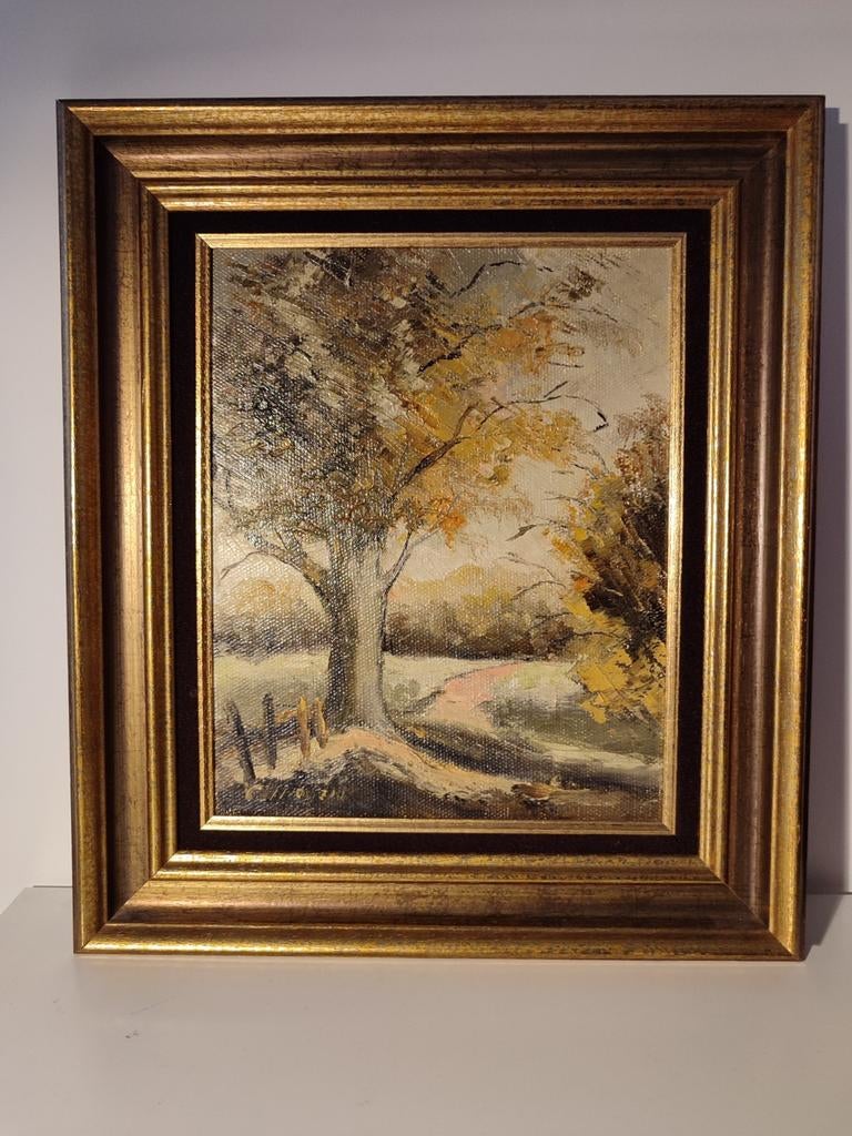 Arbre Gilbert Van Rooyen Oudegem en automne peinture couleur, Antiquités & Art, Enlèvement ou Envoi