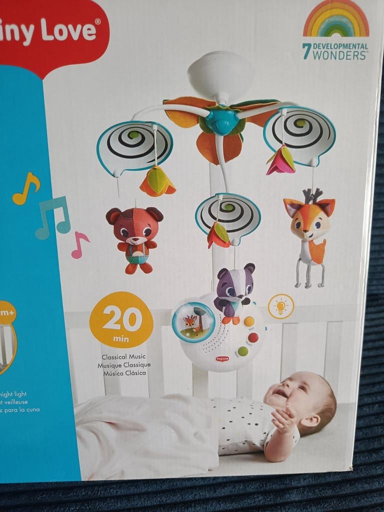 Mobile Tiny Love Music, Enlèvement