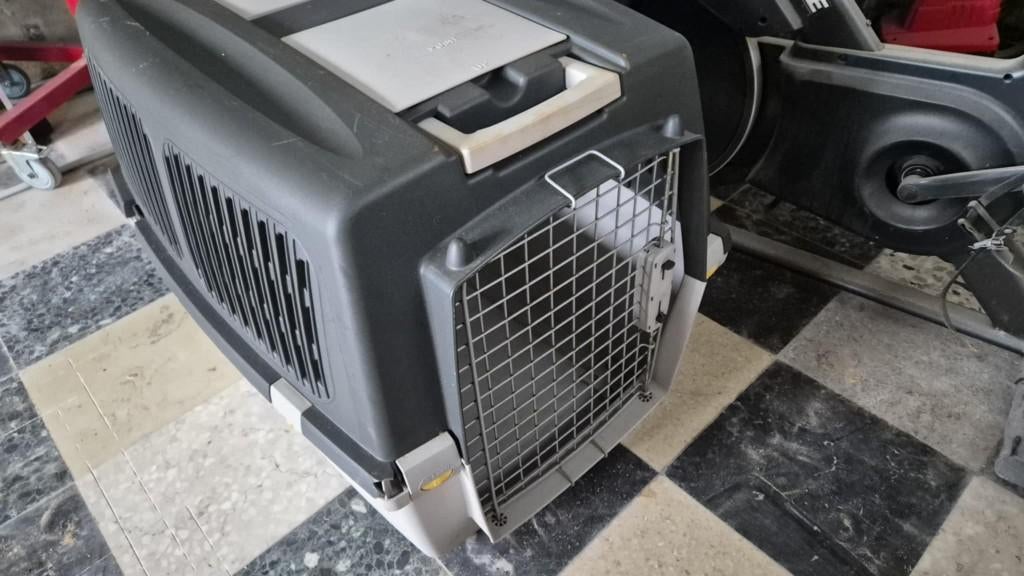 Honden bench, Animaux & Accessoires, Enlèvement, Utilisé