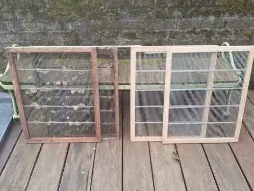 koninginneroosters dadant, Dieren en Toebehoren, Insecten en Spinnen, Bijen