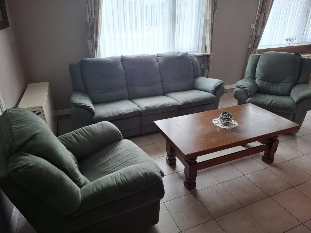 Salon vert, Enlèvement