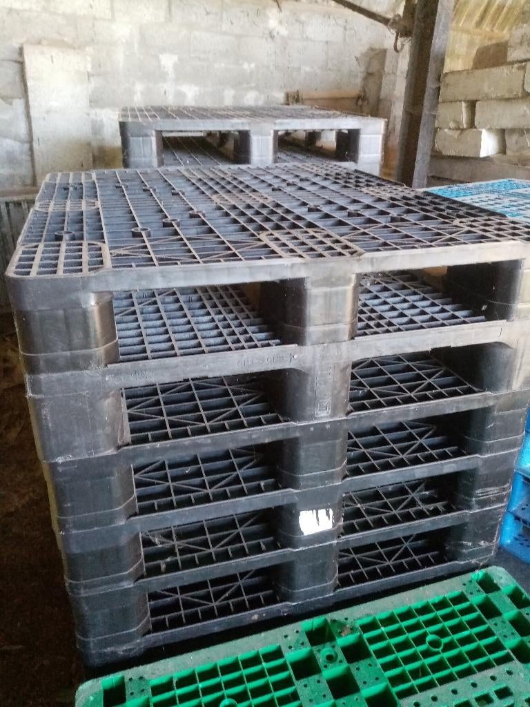 europallets kunststof-PVC-plastiek-plastic pallets paletten, Enlèvement, Comme neuf