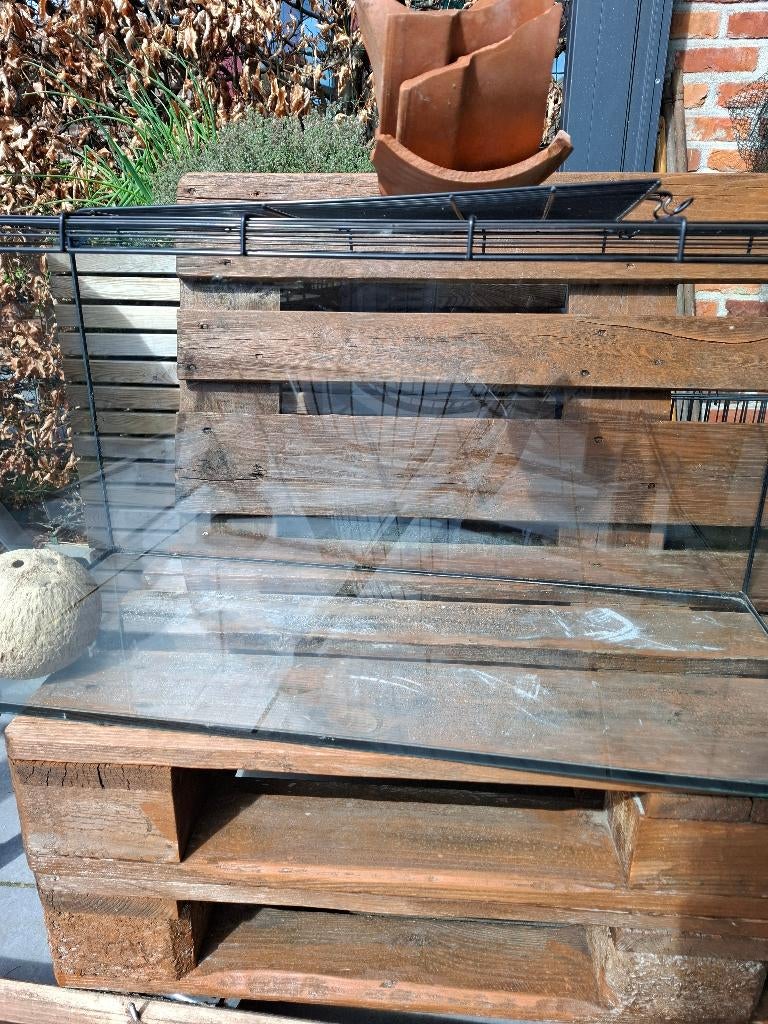 Cage en verre pour petits rongeurs, Animaux & Accessoires, Souris, Moins de 60 cm, 75 à 110 cm, Cage