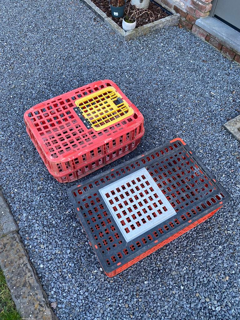 Cage de transport, Animaux & Accessoires, Enlèvement, Utilisé