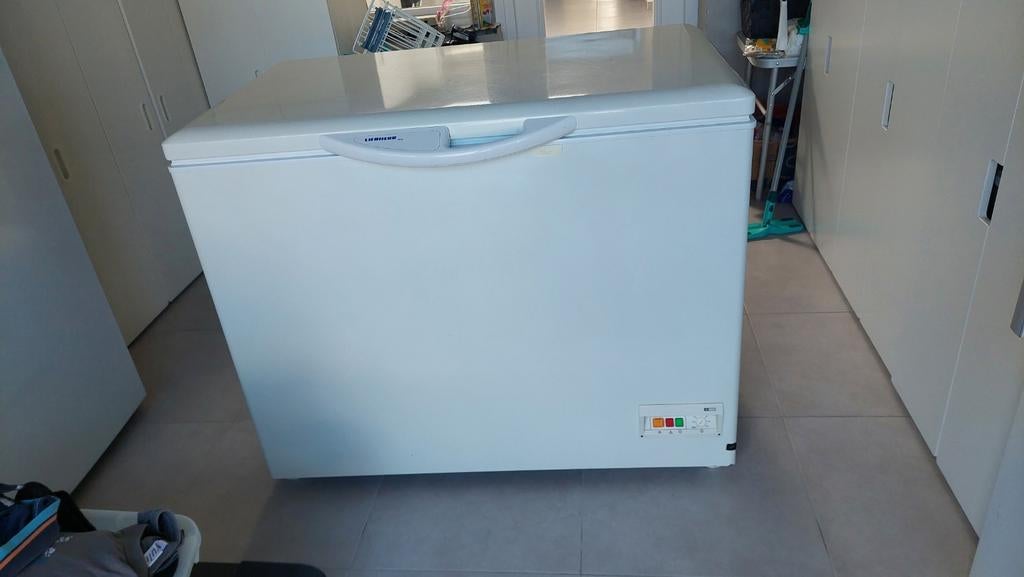 Liebherr diepvrieskist (334L) – zuinig en betrouwbaar, Elektronische apparatuur, Vriezers en Diepvrieskisten, Vrieskist, Gebruikt