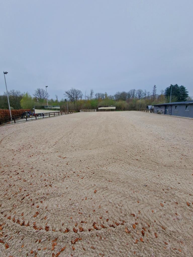 Volpension met dagelijkse weidegang 7/7, Pâturage