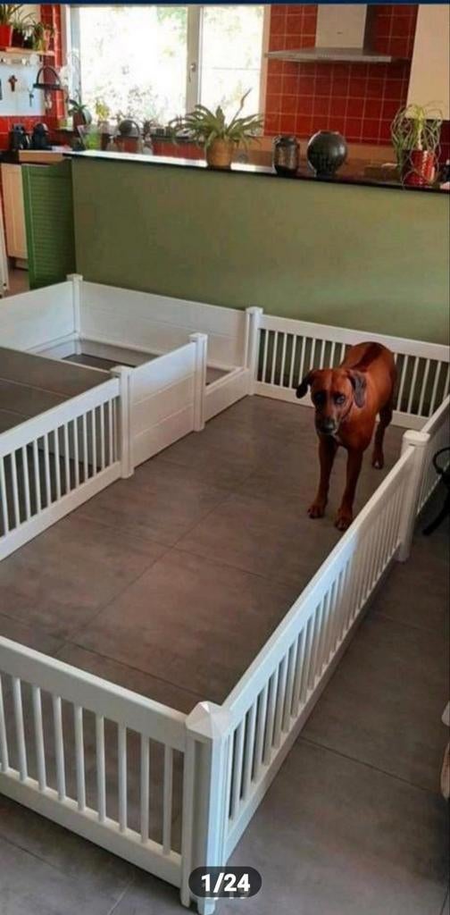 WERPKIST TOPMAST MET XL UITLOOPREN TOP AANBIEDING TE HUUR, Dieren en Toebehoren, Ophalen of Verzenden, Zo goed als nieuw