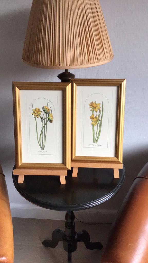 Engelse gravuren handgekleurd, Ophalen