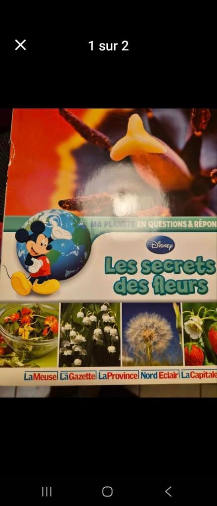 De 1 a 20 Disney, Enlèvement