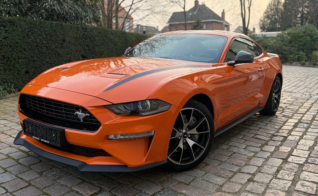Ford Mustang 2.3 EcoBoost Fifty Five Years ### 16000 km ###, Cuir, https://public.car-pass.be/vhr/42fb890f-6003-432d-aa15-5c940b6f1f05