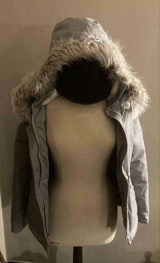 damesjas Hollister, Kleding | Dames, Jassen | Winter, Ophalen of Verzenden, Grijs