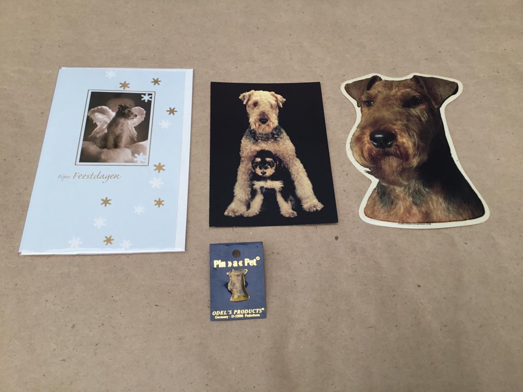 Lot Welsh terriër, Ophalen of Verzenden, Nieuw