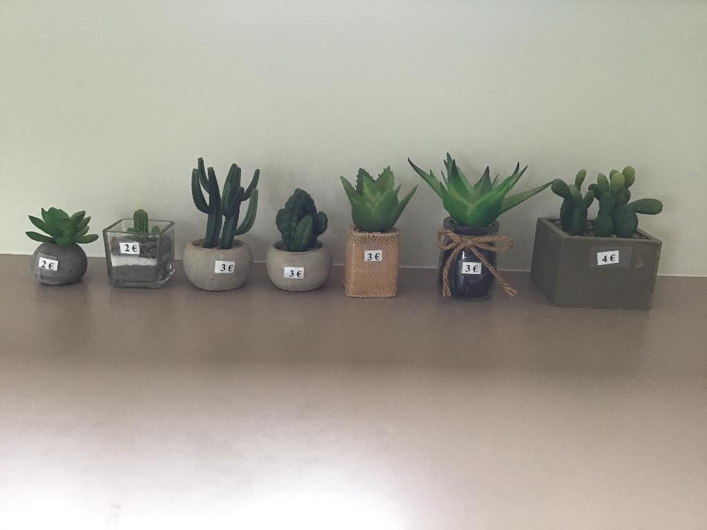 Kunstplanten - Vetplanten in Pot 7 stuks, Kunststof, Ophalen of Verzenden, Zo goed als nieuw