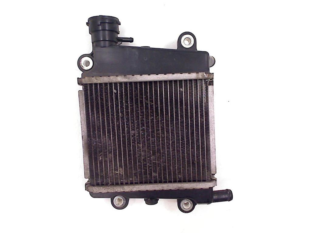 RADIATEUR Yamaha X-Max 125 (01-1970/-), Motoren, Dhr. S. di Majo, Gebruikt, Info@cama-motorparts.nl, P.J. Troelstraweg 8 8
3144 CX  MAASSLUIS, NL
