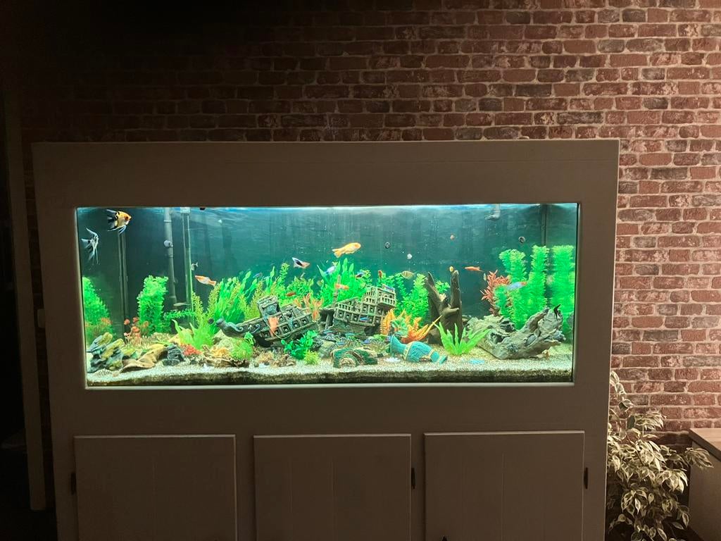 Aquarium, Dieren en Toebehoren, Vissen | Aquaria en Toebehoren, Ophalen, Zo goed als nieuw