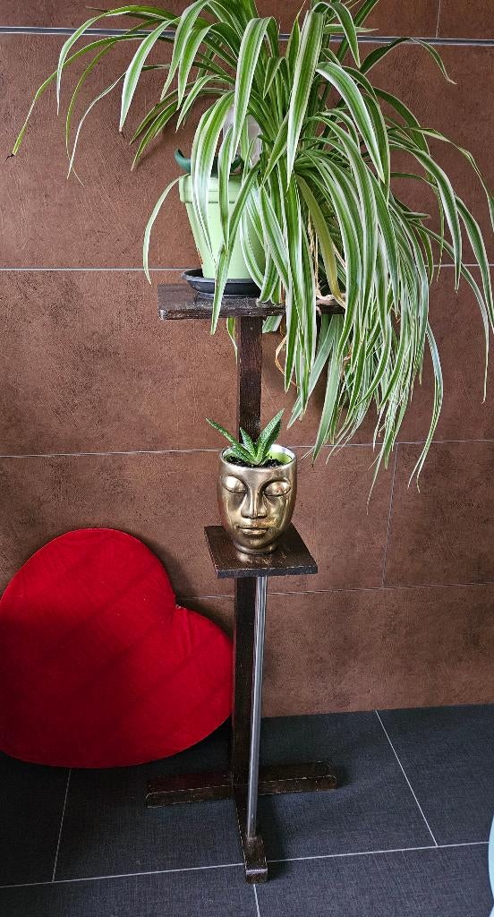 Plantenstaander, Ophalen, Overige soorten